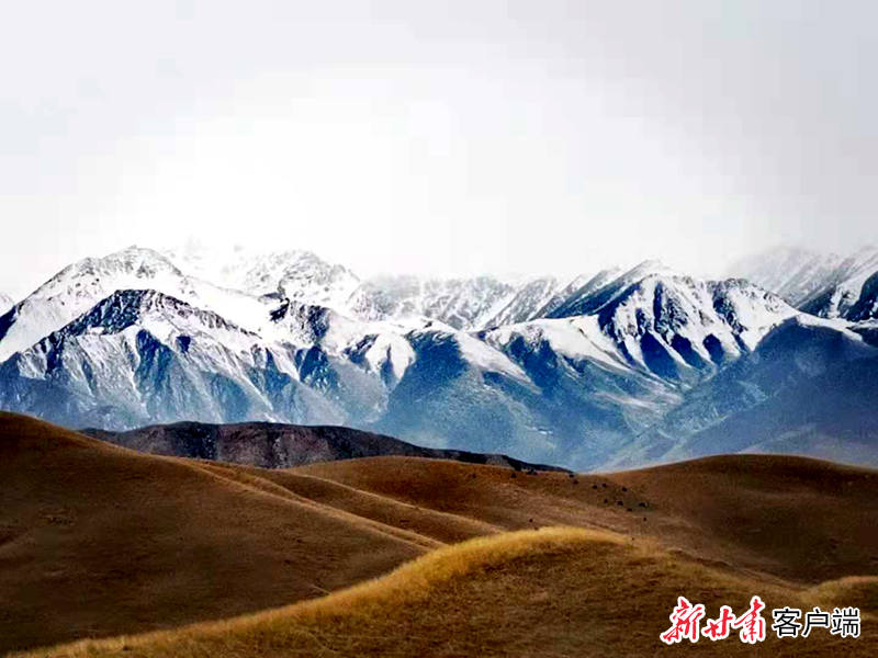 微信图片_20191106222628_副本.jpg