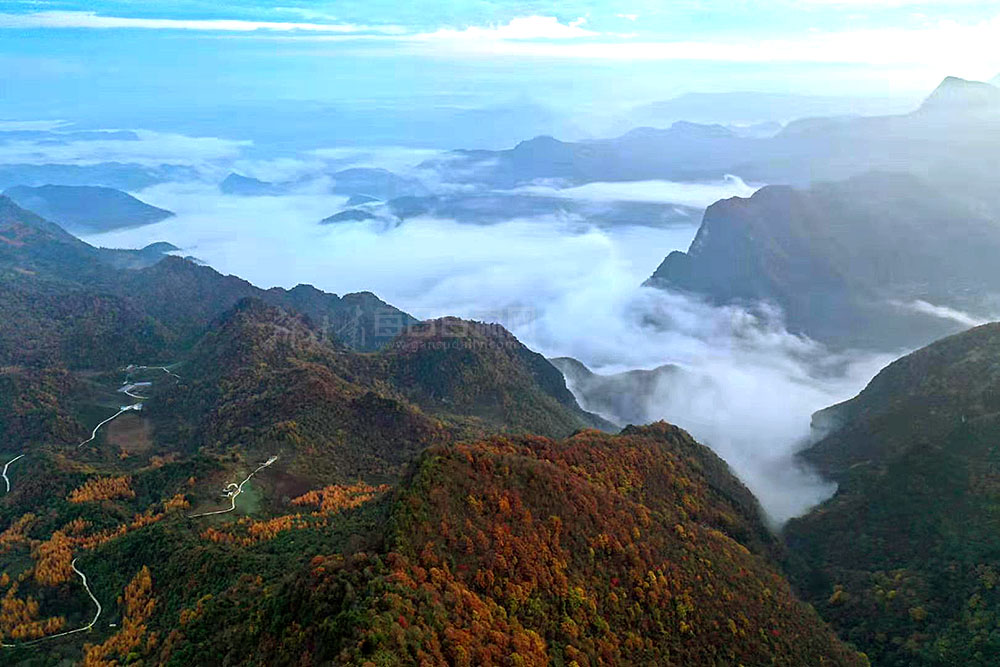 流云奔涌霞光满天徽县青泥岭现云海奇景