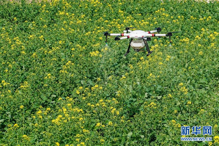 ����ϰ��ƽ��ʱ���й���ɫ�������˼��ָ����&mdash;&mdash;��ʱ������Ϊ��ƪ��&middot;ϰ��ƽ����ǹ�����&middot;ͼ�Ļ�������17����׼����ץͳ��&mdash;&mdash;������ʵ&ldquo;�����ּ�&rdquo;����ָ���������