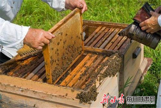 麦积区经济总量_甘肃天水麦积区美女(3)