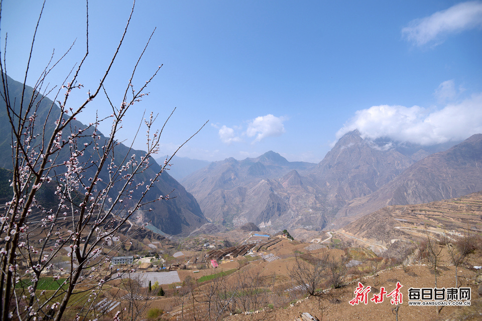 DSC_7973.JPG