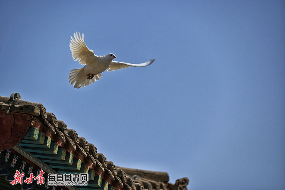 微信图片_20200414151006.jpg