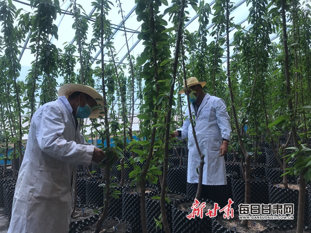 微信图片_20200520203816.jpg 微信图片_20200520203816.jpg