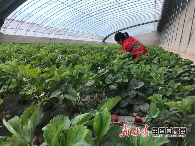 微信图片_20200520203854.jpg 微信图片_20200520203854.jpg