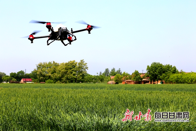 图为工作人员使用无人机喷洒农药翟娜娜摄.JPG 图为工作人员使用无人机喷洒农药翟娜娜摄.JPG