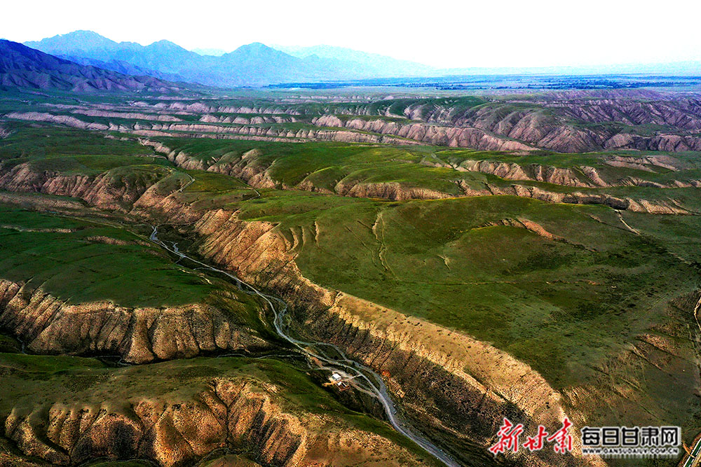DJI_02988.jpg
