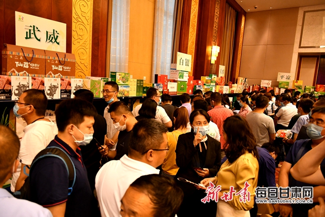 DSC_6527_爱奇艺.jpg DSC_6527_爱奇艺.jpg