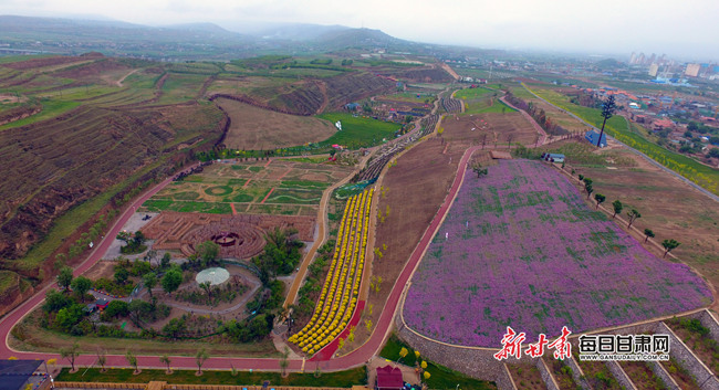 孟夏时节,榆中县朴素·李家庄田园综合体各类花卉竞相绽放.