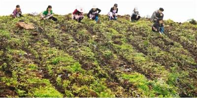 安吉人口_湖州:安吉劳务协作托起6000名贫困人口幸福梦