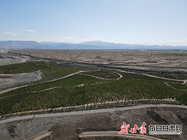DJI_0158.jpg