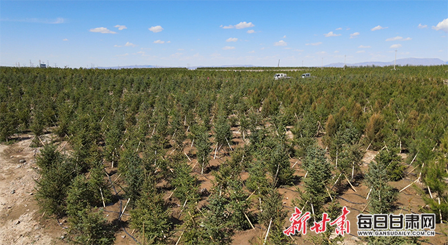 QQ截图20200706104530 副本.jpg