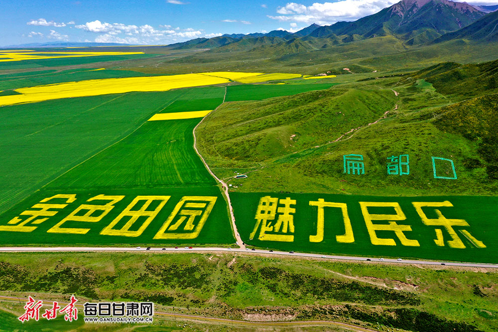 油菜花开 风光旖旎 民乐县扁都口风景区迎来最佳观赏期-图库-每日甘肃