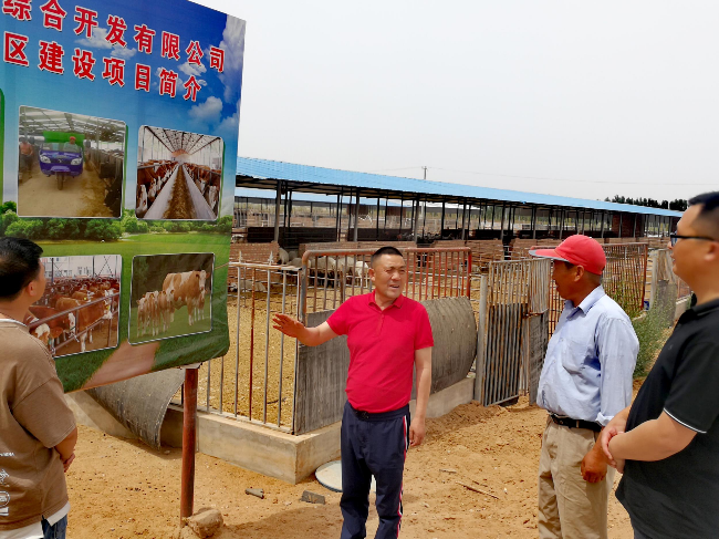 众一集团董事长雷光新在农场介绍养殖情况.