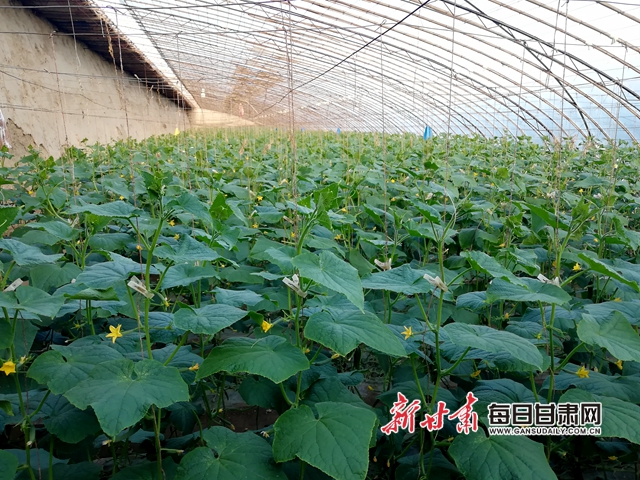微信图片_20200818004627.jpg 微信图片_20200818004627.jpg