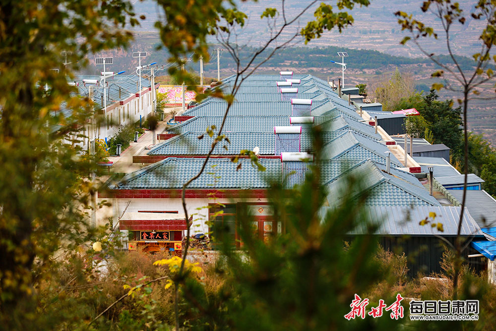 静宁县侯山村村支书侯进军带领全村种金果走上致富路