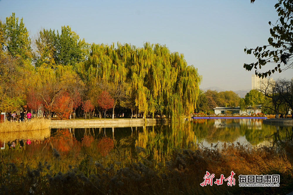 初冬,色彩绚丽的兰州市植物园