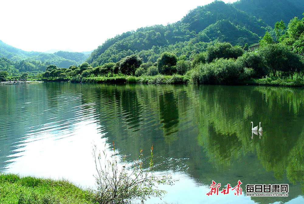 天鹅湖tan.jpg