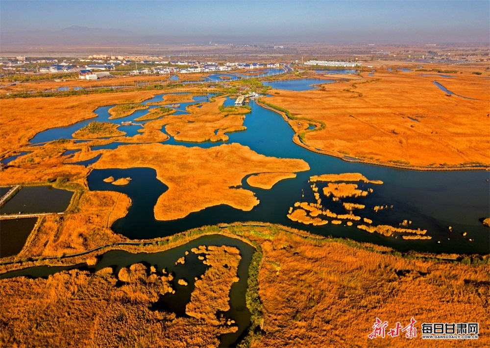 湿地秋色 褚毓民摄 获2020年6月在 甘肃省摄协“美丽中国 生态甘肃”摄影作品征集活动优秀奖.jpg
