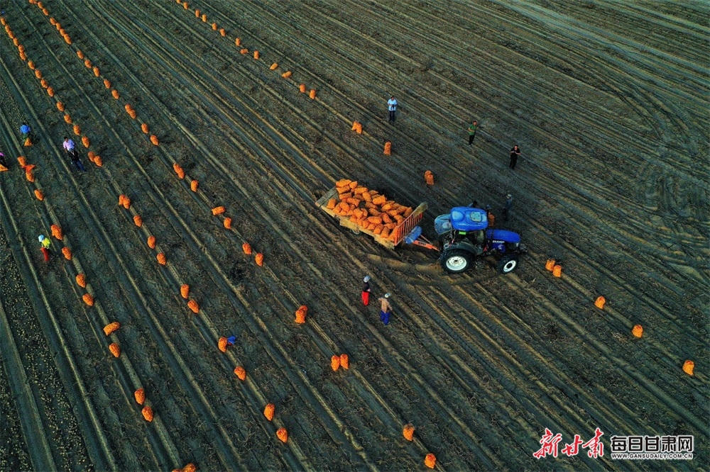 土豆变“金豆” 郑耀德摄影 荣获人民摄影报主办的全国脱贫攻坚优秀新闻摄影作品征集优秀作品.JPG