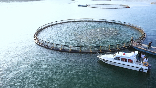 产业发展的关键问题,为甘肃现代渔业健康发展提供了有力的技术支撑