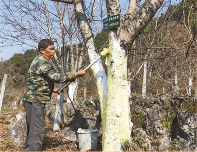 田兴鸿在石山上种玉米,种一垄,收半斗;种一坡,收一筐.