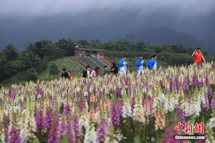 ���������һҳ