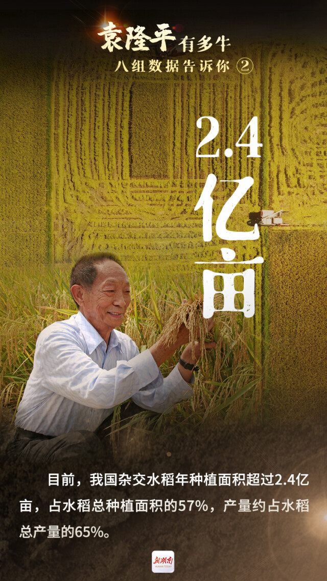袁隆平有多牛?八组数据告诉你