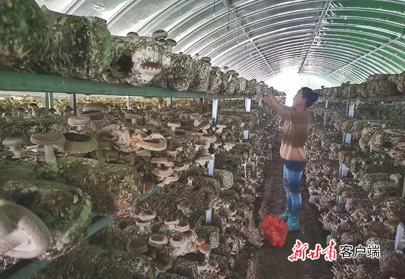 微信图片_20210821163355.jpg 微信图片_20210821163355.jpg