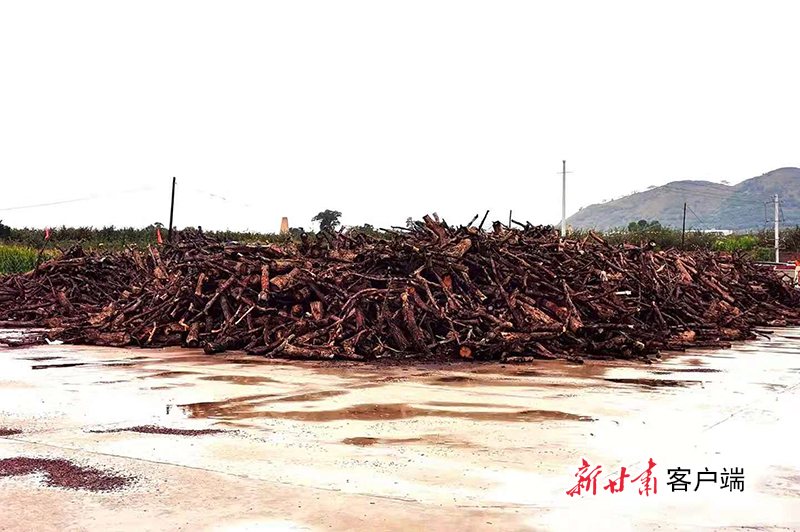微信图片_20210821163347.jpg 微信图片_20210821163347.jpg