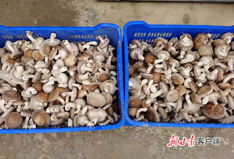 微信图片_20210821163423.jpg 微信图片_20210821163423.jpg
