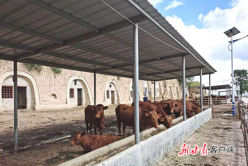 微信图片_20210821163351.jpg 微信图片_20210821163351.jpg