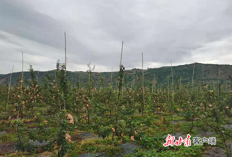 微信图片_20210821163411.jpg 微信图片_20210821163411.jpg