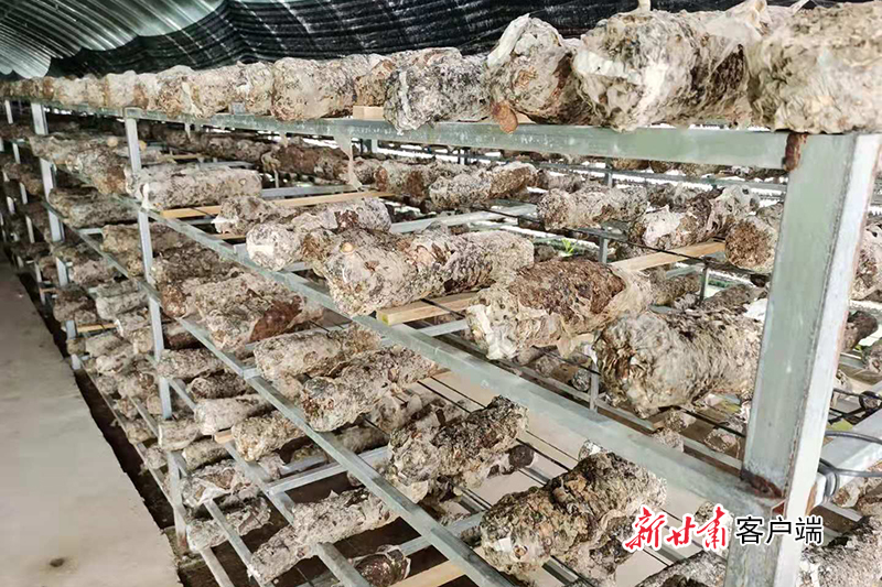 微信图片_20210821163415.jpg 微信图片_20210821163415.jpg