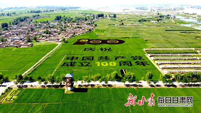 大地作画布,水稻为颜料。图为瓜园村献礼建党百年彩稻画。.jpg