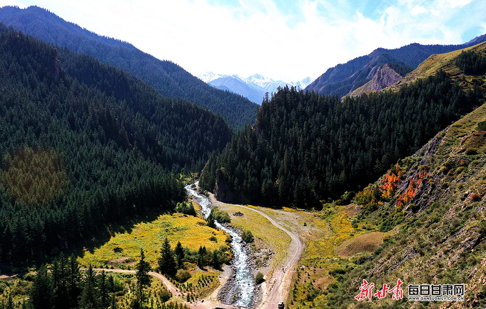 DJI_0890.JPG