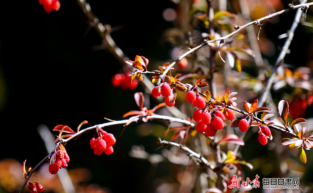 DSC03529.JPG