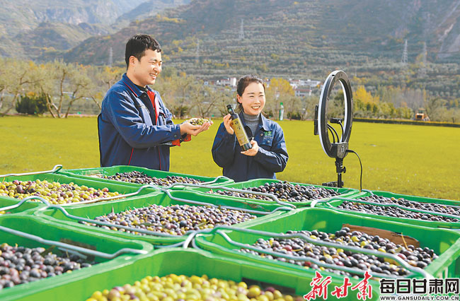 【圖片新聞】隴南市武都區祥宇油橄欖公司橄欖油直播銷售全國各地