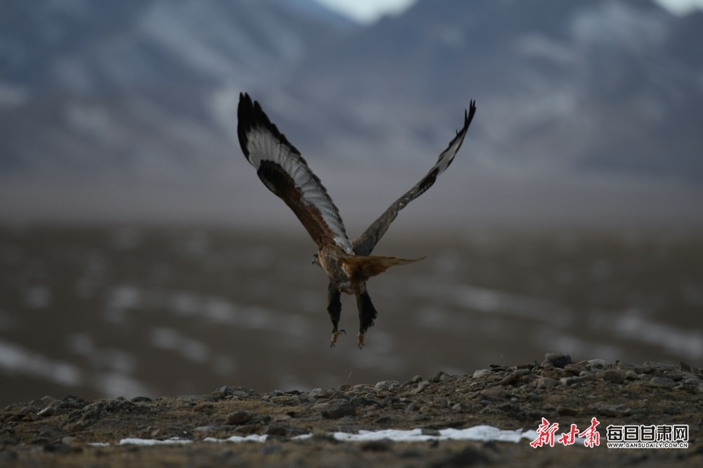 DSC_8675.JPG