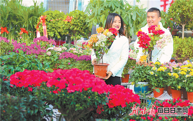 【图片新闻】春节临近，酒泉市各大花卉市场红红火火