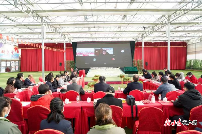 榆中县以项目助推高原夏菜全产业链提质增效