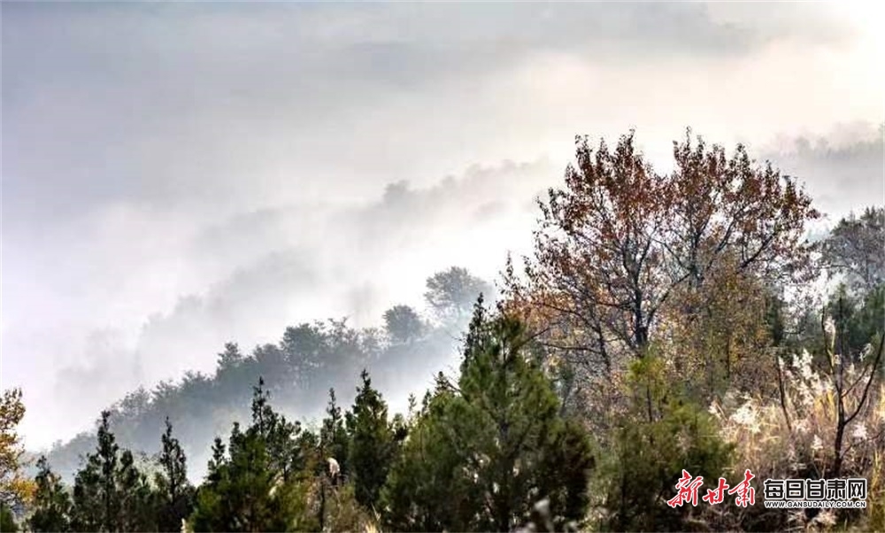 冬季IMG_7327(20221128-142958).JPG