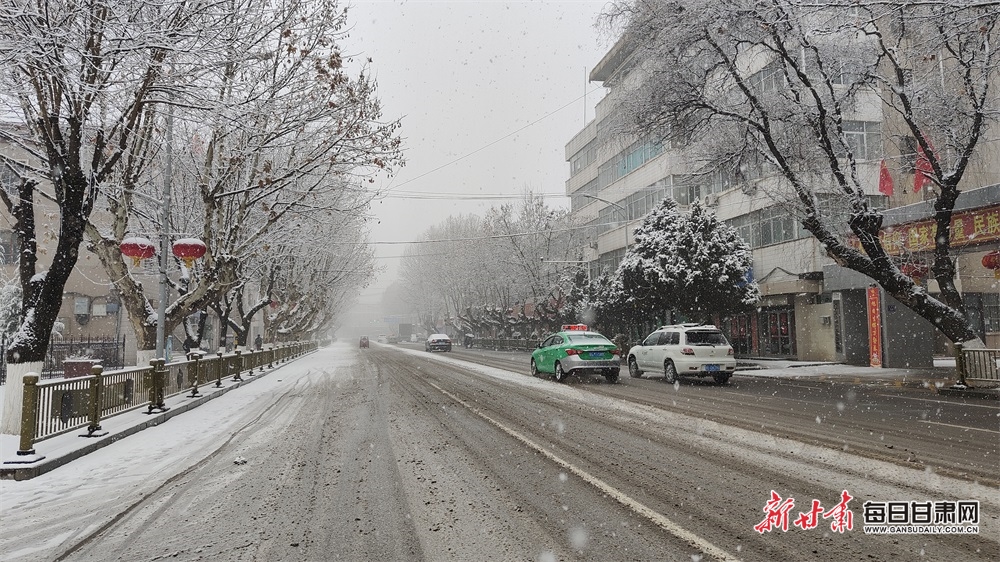 普降中雪的灵台县城.jpg