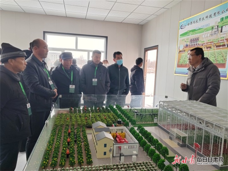民乐县农技中心的技术员正在水肥一体化种植基地为群众培训种植技术。.jpg