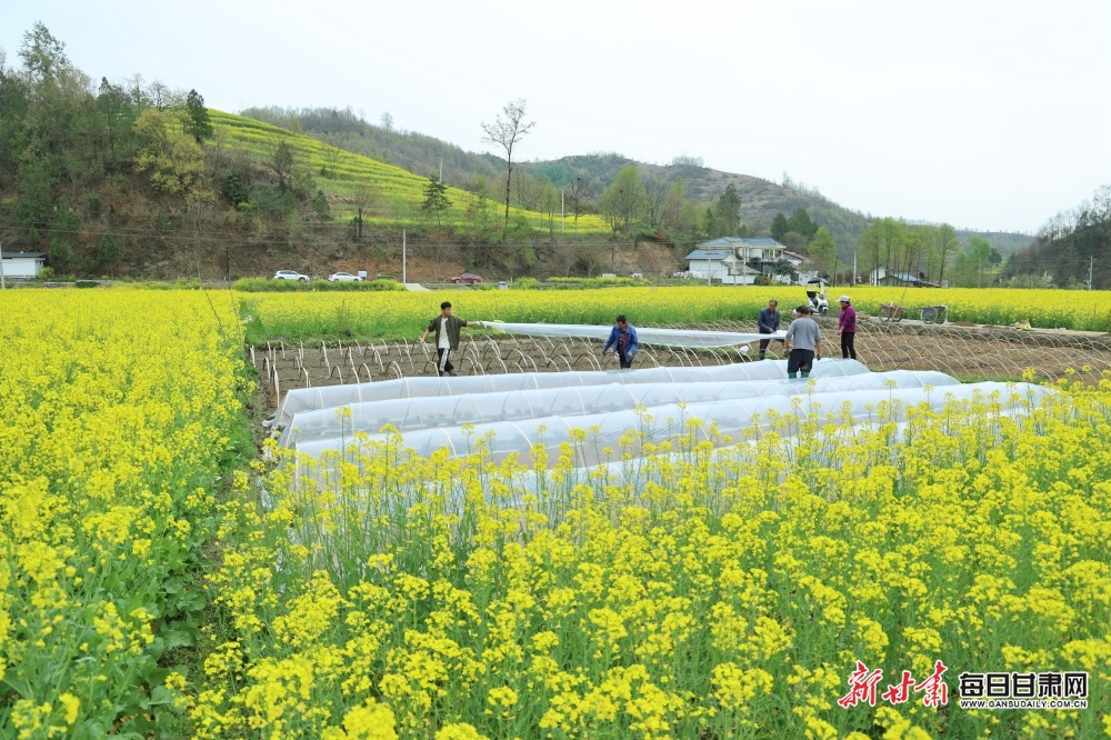 65be2904052cddc39928a9a21e82e7a