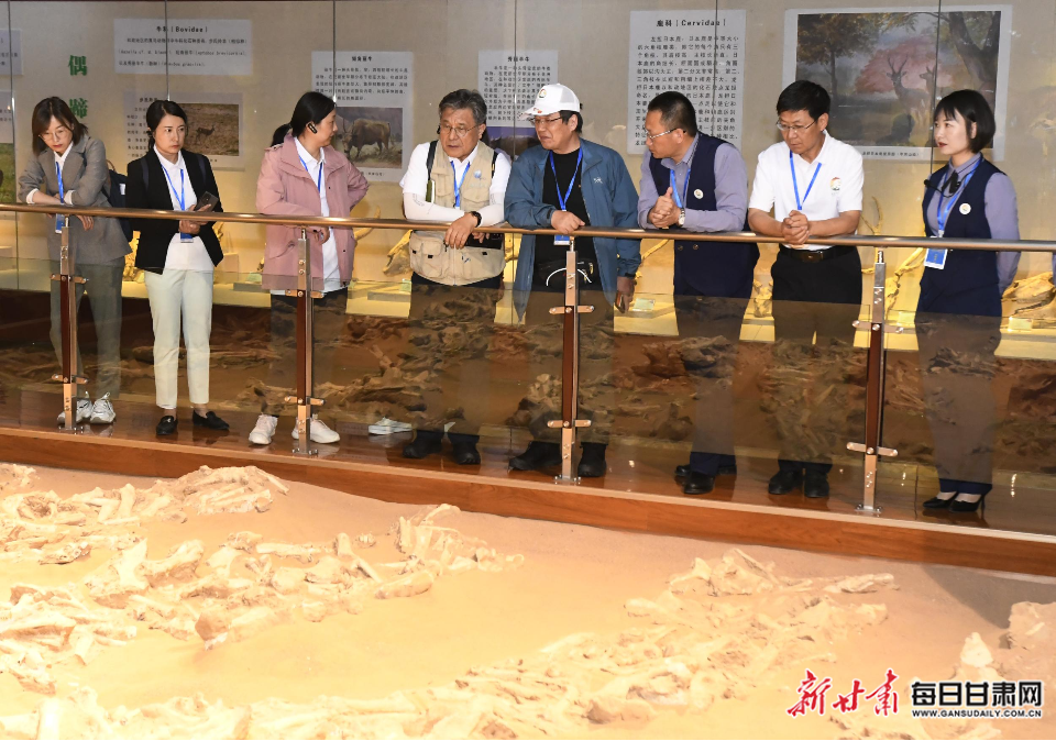 6月28日，结合专家考查和政古植物化石博物馆 (3).JPG