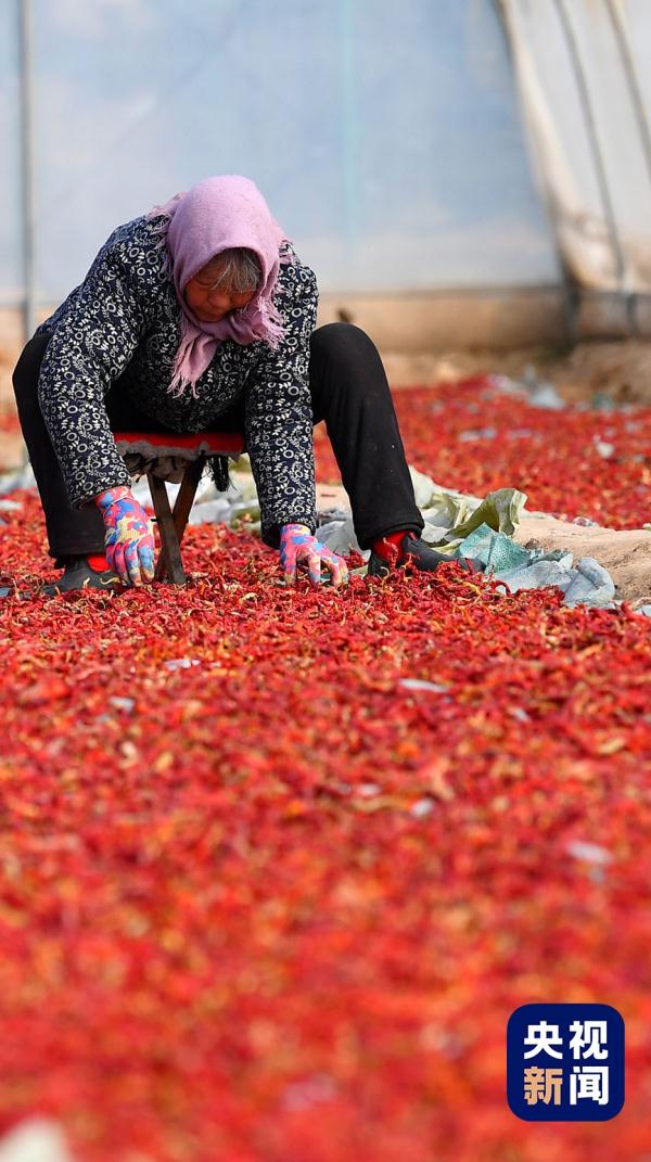 甘肃麻辣烫火了！随机香晕一个没吃过的人