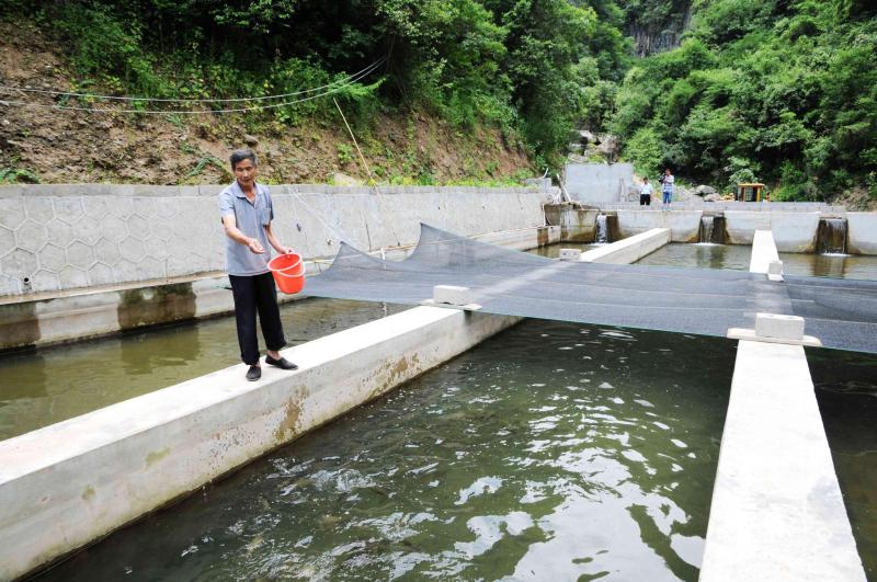 徽县依托冷水资源 积极引导农民人工养殖冷水