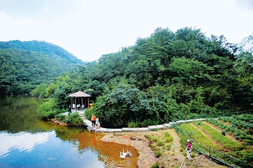 湖南瀏陽大圍山森林公園遊客眾多