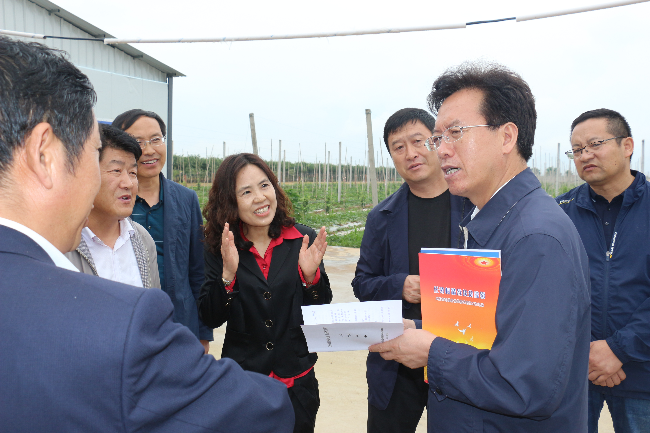 庆阳市委书记贠建民深入宁县湘乐镇任劳村调研指导工作
