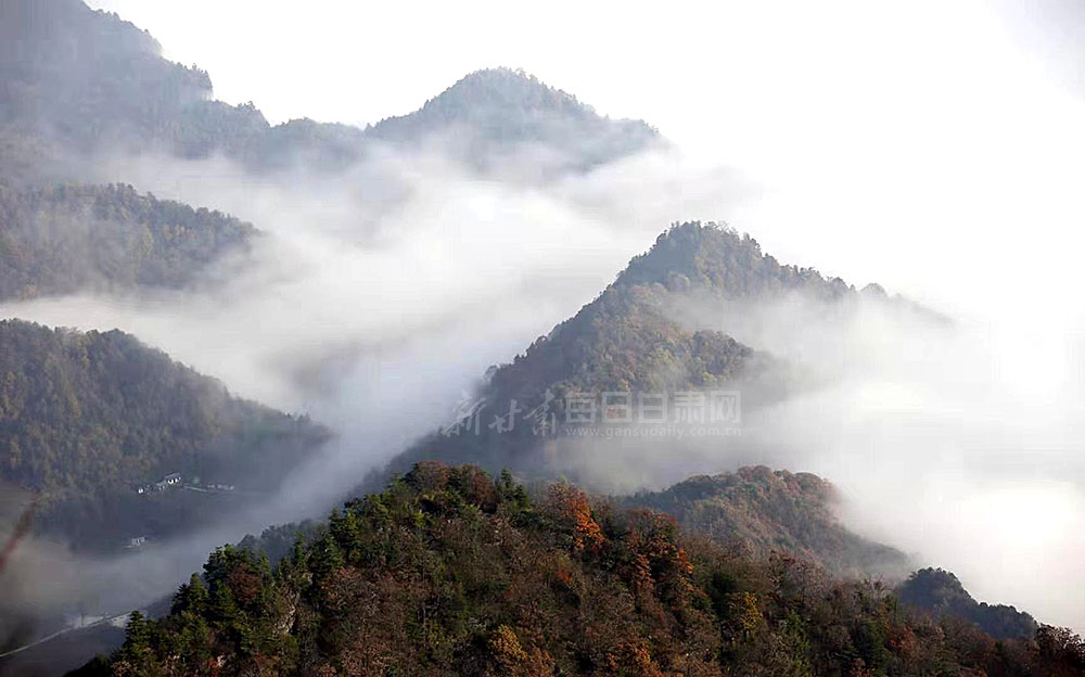 流云奔涌 霞光满天 徽县青泥岭现云海奇景